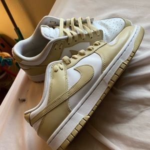 Nike dunks size 9